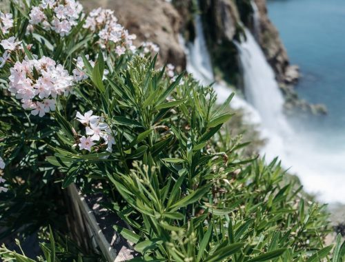 espace extérieur grâce à la jardinière avec panneau occultant