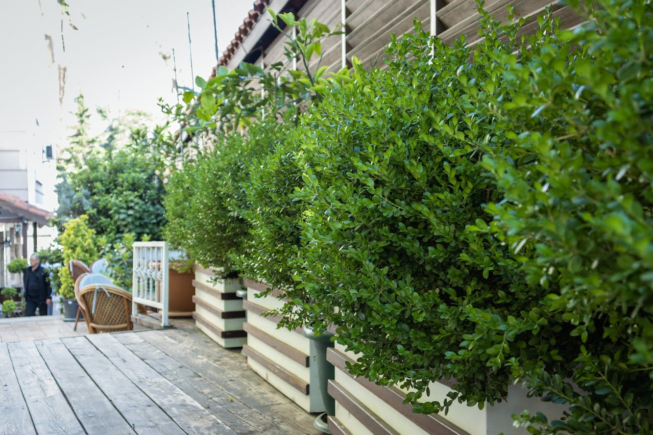 les différentes types de jardinière.