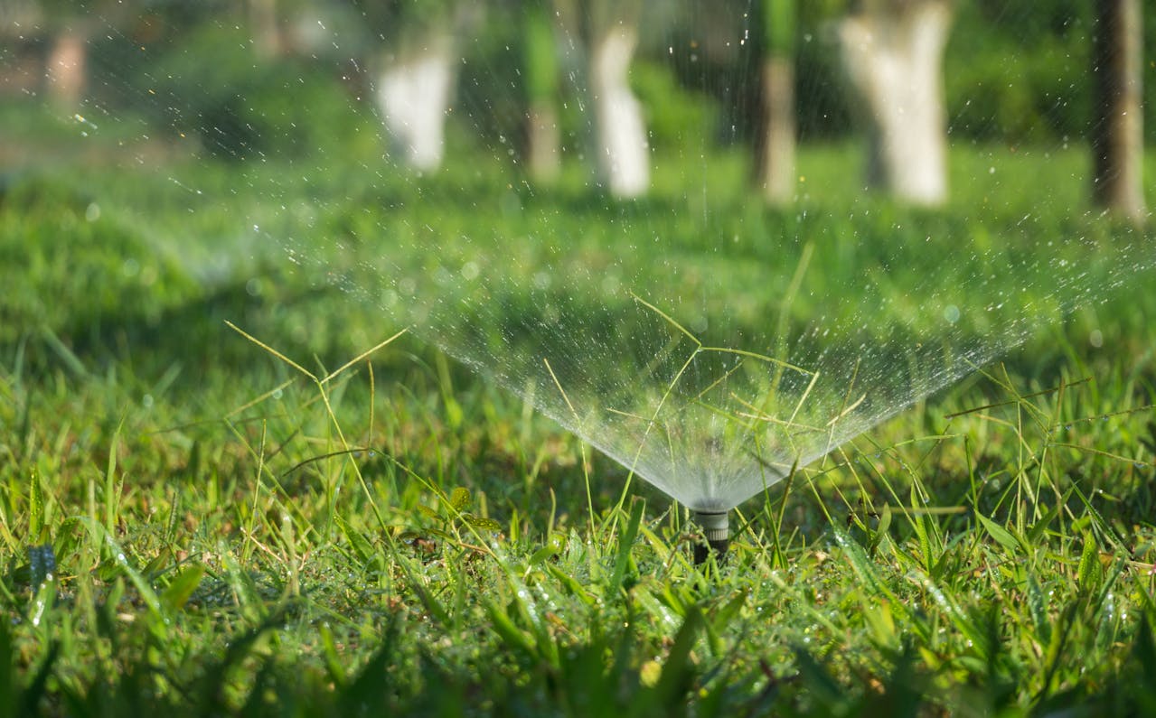 Guide pour réussir la semence d'un gazon saine et durable