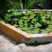 Guide pratique pour créer un bassin à poissons dans votre jardin