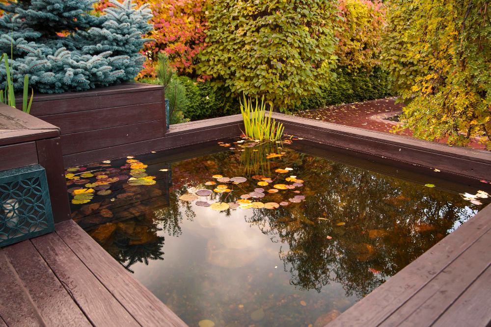 créer un bassin à poissons dans votre jardin